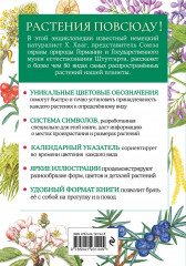 Растения. Краткий иллюстрированный справочник - Фото 1