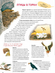 Книга о птицах - Фото 1