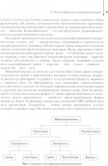 Основы микробиологии и инфекционная безопасность - Фото 5