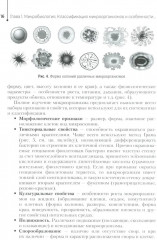 Основы микробиологии и инфекционная безопасность - Фото 9