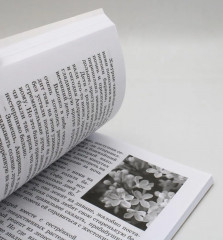 Сказочный мир доброты, или Приключения правнуков Айболита. Сборник сказок и рассказов - Фото 1