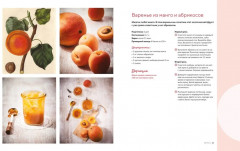 Домашнее варенье и другие сладкие заготовки. Вкусные рецепты, проверенные временем - Фото 7