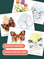 Раскраска «Бабочки» - Фото 1