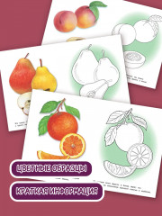 Раскраска «Фрукты» - Фото 1