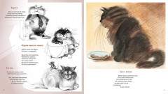 Полное собрание котов - Фото 5