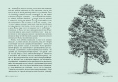 Загадки леса. Удивительная жизнь зелёной экосистемы планеты - Фото 2