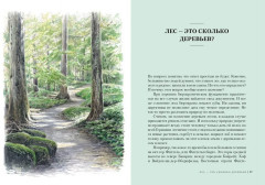 Загадки леса. Удивительная жизнь зелёной экосистемы планеты - Фото 3