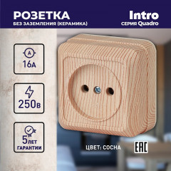 Розетка «Quadro» - Фото 1