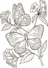 Большая книга раскрасок «Для девочек» - Фото 1