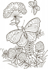 Большая книга раскрасок «Для девочек» - Фото 2