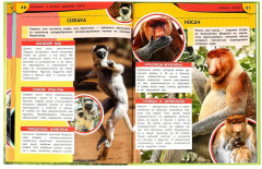 Капибара и другие забавные звери - Фото 2