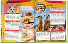 Капибара и другие забавные звери - Фото 3