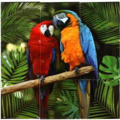 Набор кубиков «Экзотические животные» - Фото 1