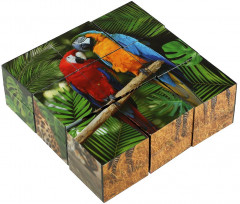 Набор кубиков «Экзотические животные» - Фото 2