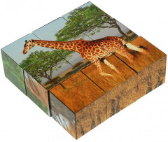 Набор кубиков «Экзотические животные» - Фото 3