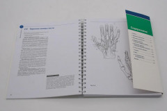 Sobotta. Рабочая тетрадь по анатомии человека - Фото 2