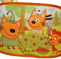 Манеж - Фото 2