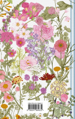 Аня и Долина Радуг - Фото 1