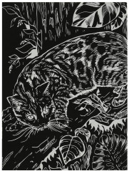 Гравюра «Бенгальская кошка» - Фото 2
