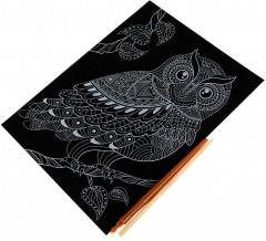 Гравюра «Сова» - Фото 1