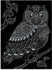 Гравюра «Сова» - Фото 2