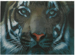 Мозаика алмазная «Тигр» - Фото 2