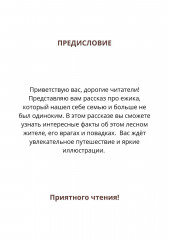 Сказка «Как ёжик нашёл семью» - Фото 1