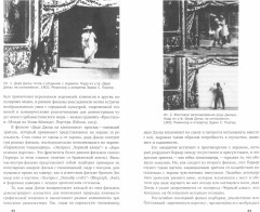 Вавилон и вавилонское столпотворение. Зритель в американском немом кино - Фото 1