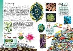 Өсімдіктер әлемі - Фото 2