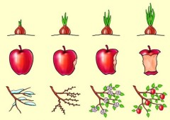 Игра настольная «Логические цепочки» - Фото 2