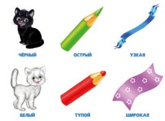 Игра настольная «Одинаковое-разное» - Фото 2