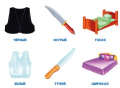 Игра настольная «Одинаковое-разное» - Фото 3