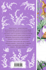 Леди Сьюзен - Фото 1
