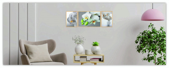 Набор постеров в деревянной раме «Нежность орхидеи»