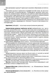 Ортопедия. Справочное руководство - Фото 5