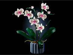 Конструктор Icons 10311 Орхидея - Фото 13