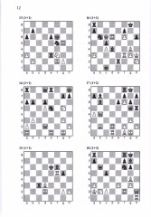 Комбинационное искусство в шахматах - Фото 4