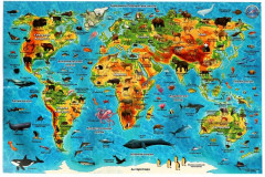 Игра настольная «Викторина в картинках. Животные мира» - Фото 2