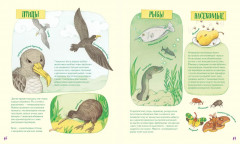 Невероятные носы - Фото 2