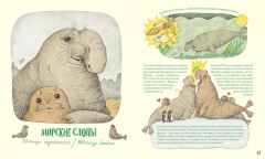 Невероятные носы - Фото 4