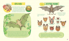 Невероятные носы - Фото 5