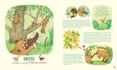 Невероятные носы - Фото 6