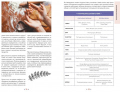 Растения любви - Фото 6