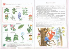 Валеология. Путешествие в страну "Здоровья" - Фото 1