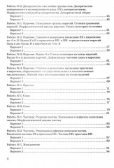 Русский язык. 7 класс. Зачётные работы - Фото 2