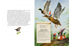 Гномы круглый год. Волшебный мир в рассказах, стихах и с полезными рецептами лесной медицины - Фото 6