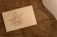 Набор писем «Балалық шағымның хикаялары / Истории моего детства» - Фото 3