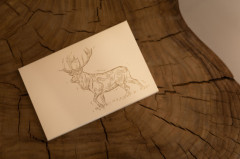 Набор писем «Балалық шағымның хикаялары / Истории моего детства» - Фото 4