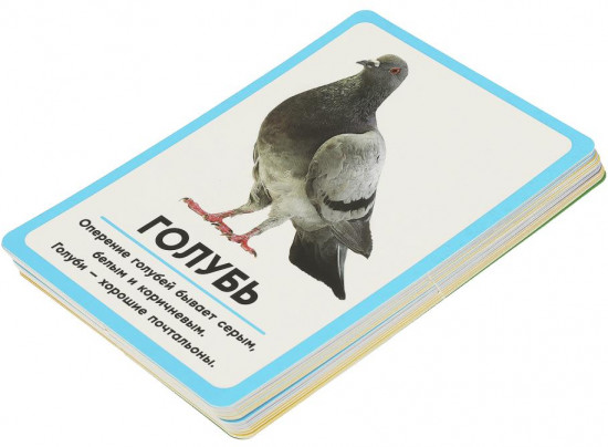 Карточки развивающие «Животные»