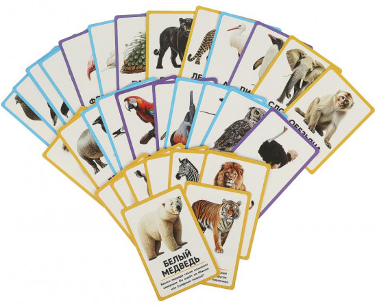 Карточки развивающие «Животные»